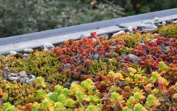 the cost of Howdon Pans green roof installation