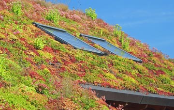 Howdon Pans living roof systems
